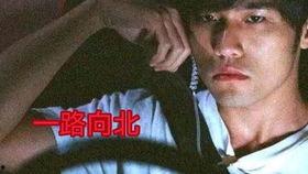 一路向北电影完整版,穿越时光的青春记忆