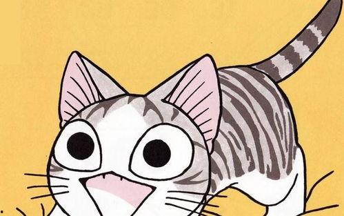 猫的漫画